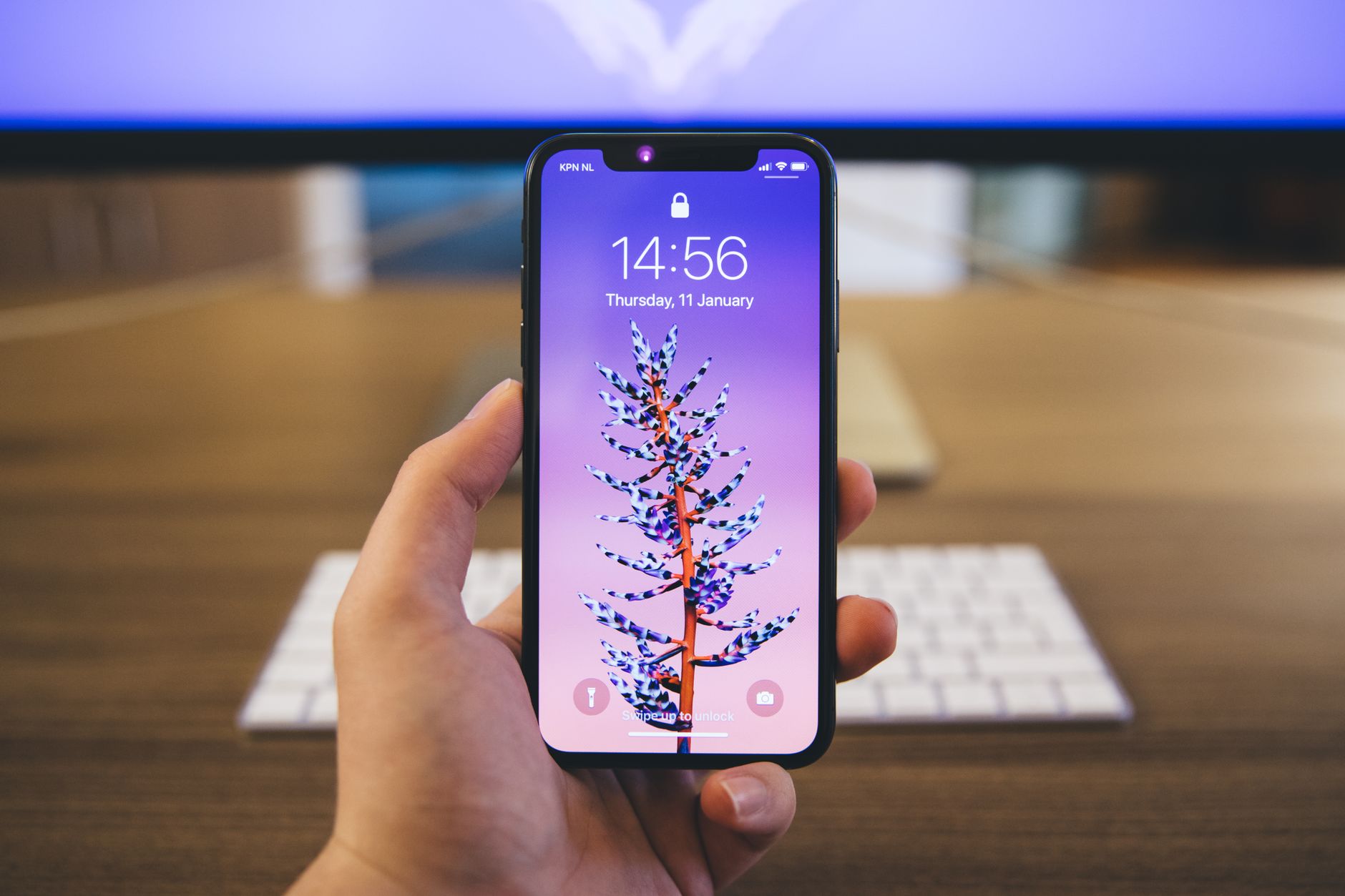 Oppo Reno X display: The Best Proven Features Leaked